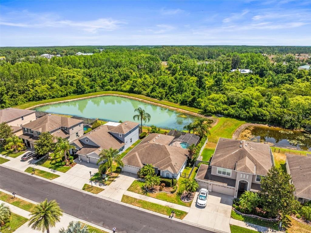 9632 Asbel Estates Street Land O Lakes FL 34638 TB8378066 image1