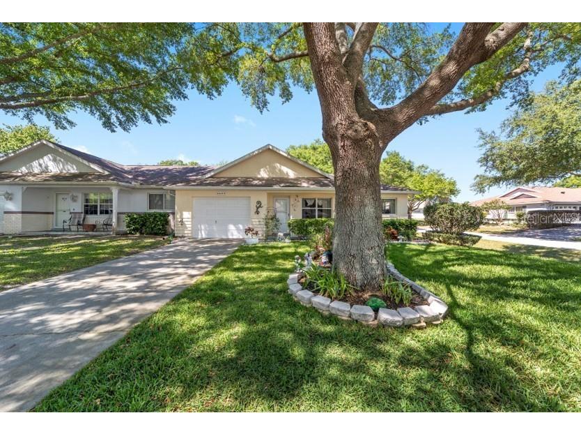 9632 SW 95th Court #D Ocala FL 34481 OM655425 image1