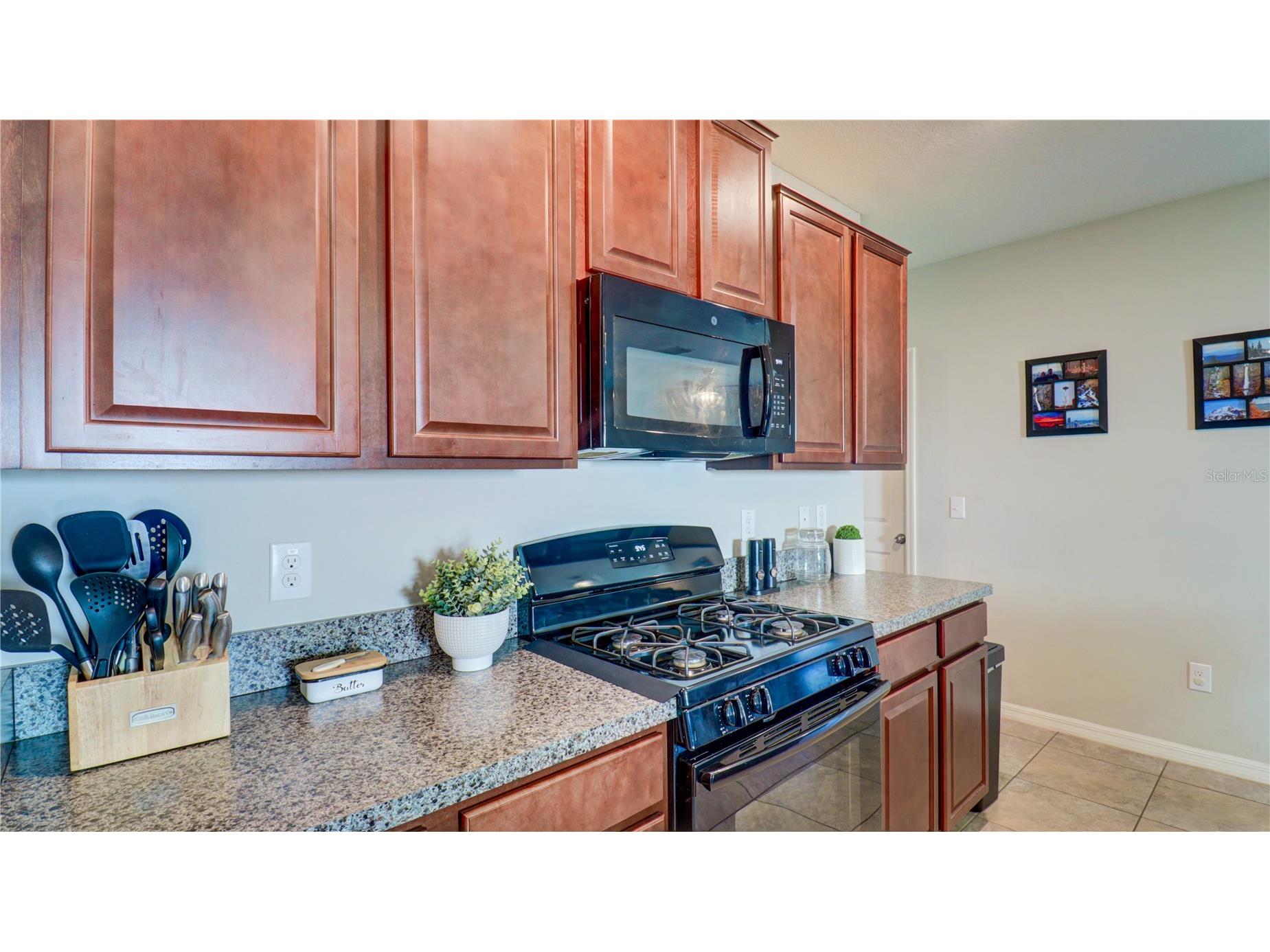 9633 Channing Hill Drive Sun City Center FL 33573 TB8492833 image10