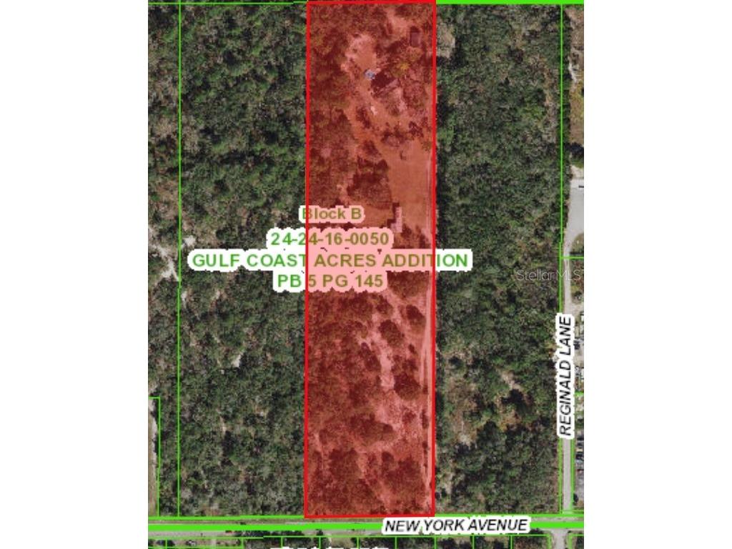 9633 New York Avenue Hudson FL 34667 W7853651 image1