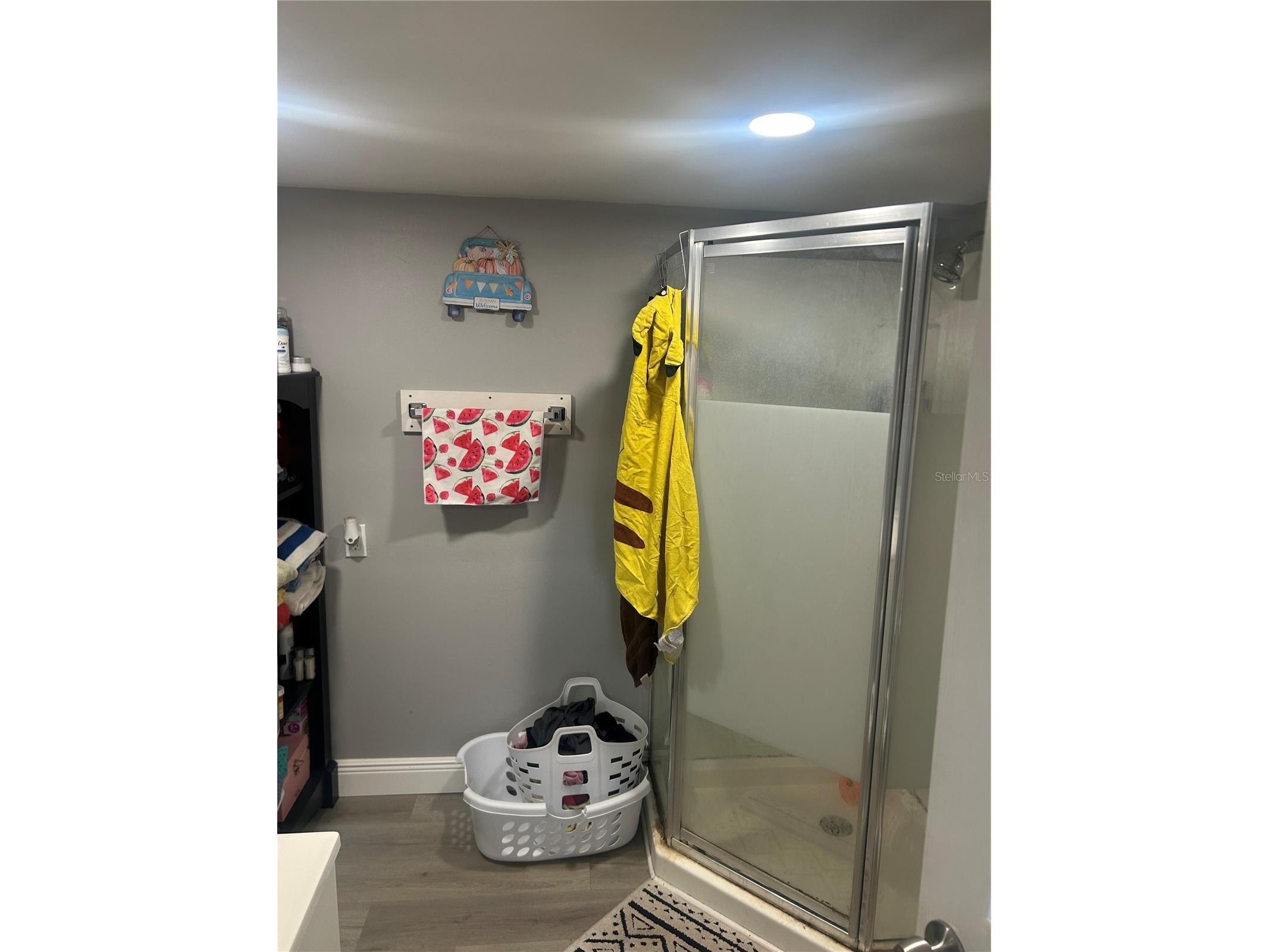 9633 Norm Street Hudson FL 34669 TB8474018 image17