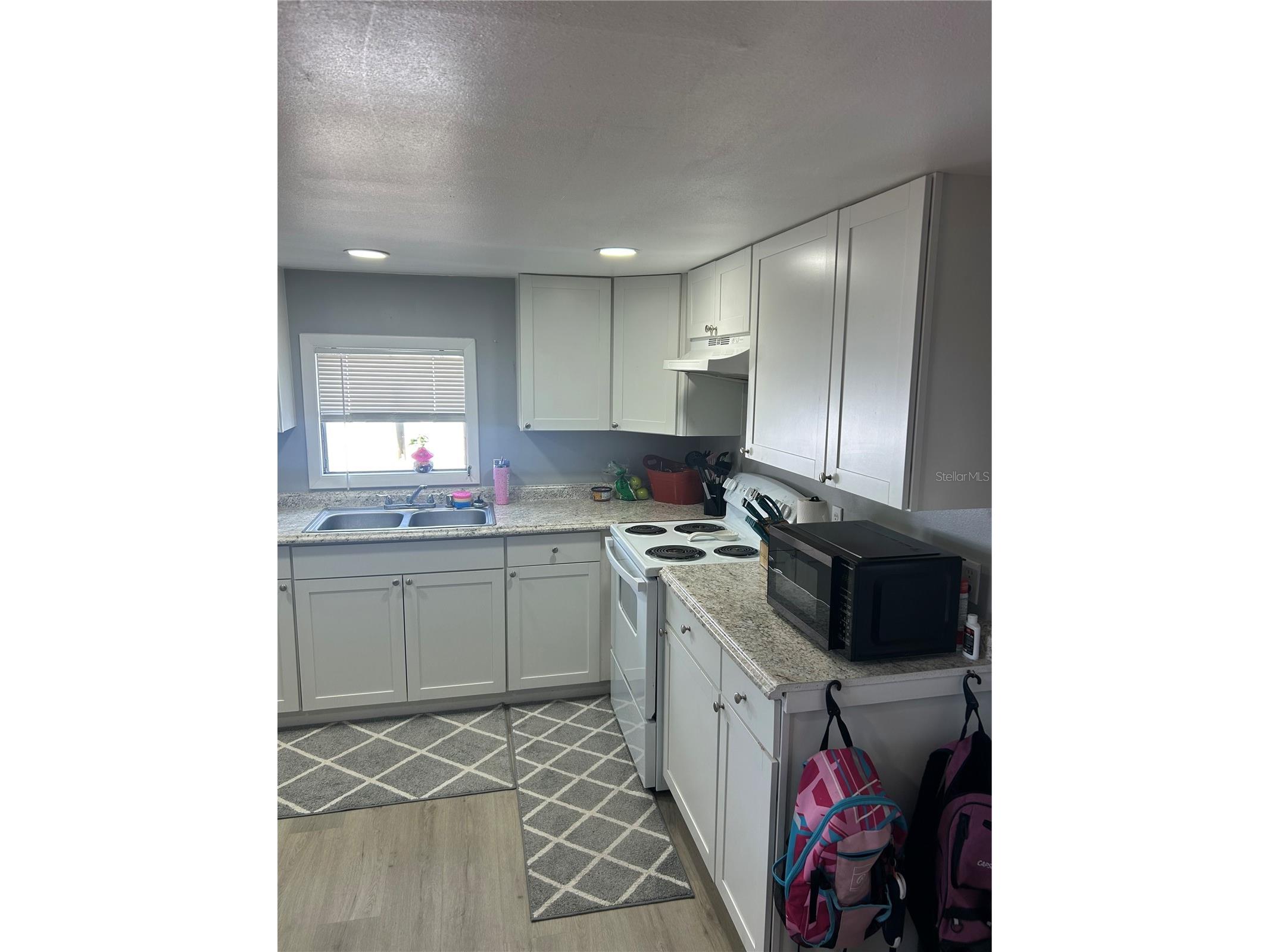 9633 Norm Street Hudson FL 34669 TB8474018 image7