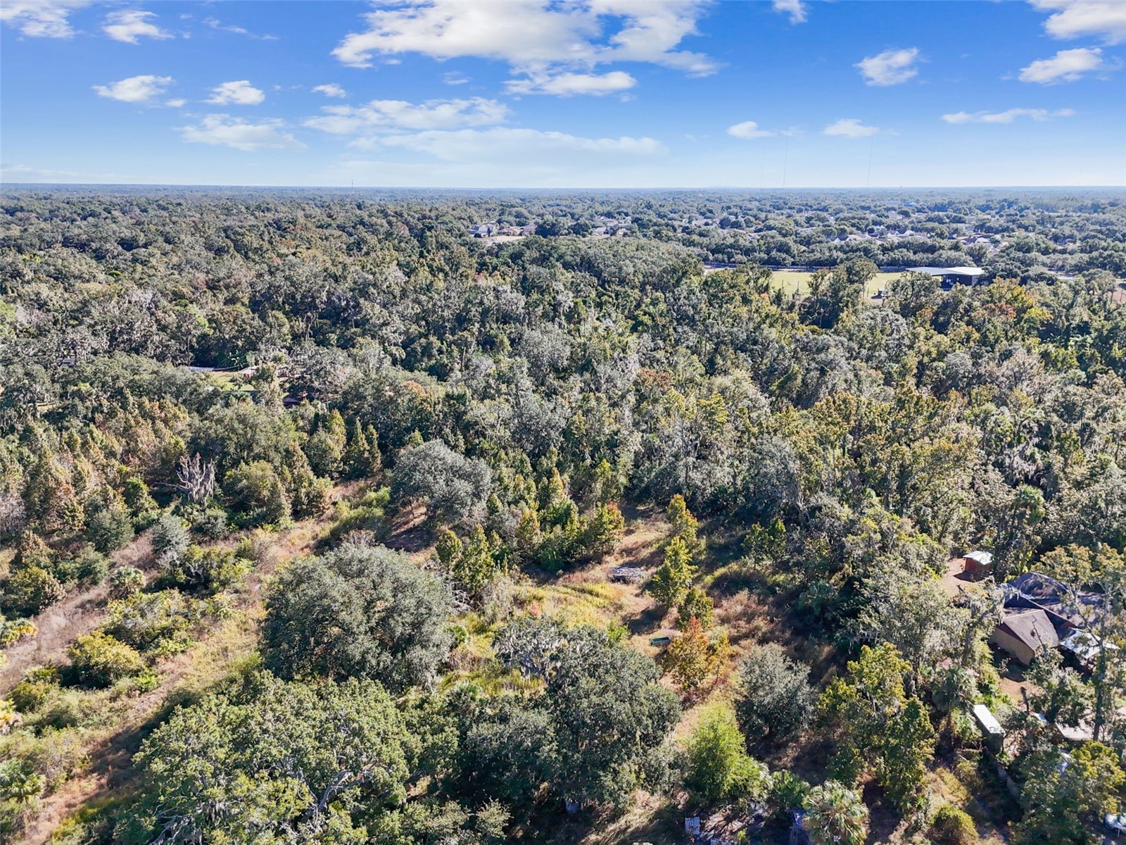 9634 Balm Riverview Road Riverview FL 33569 TB8444296 image6