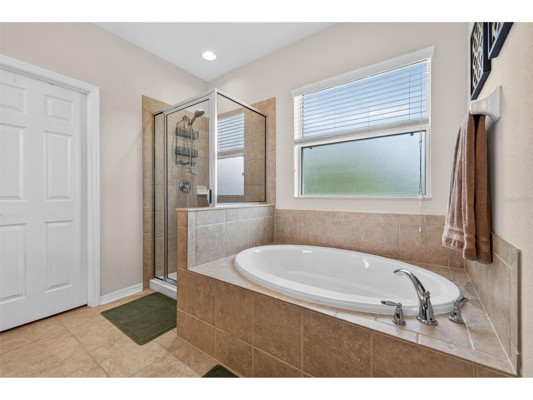 9634 Oak Glade Avenue Tampa FL 33647 TB8515765 image24