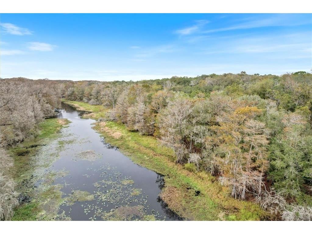 9637 SW 70th Lane Bushnell FL 33513 - WITHLACOOCHEE RIVER OM682757 image1