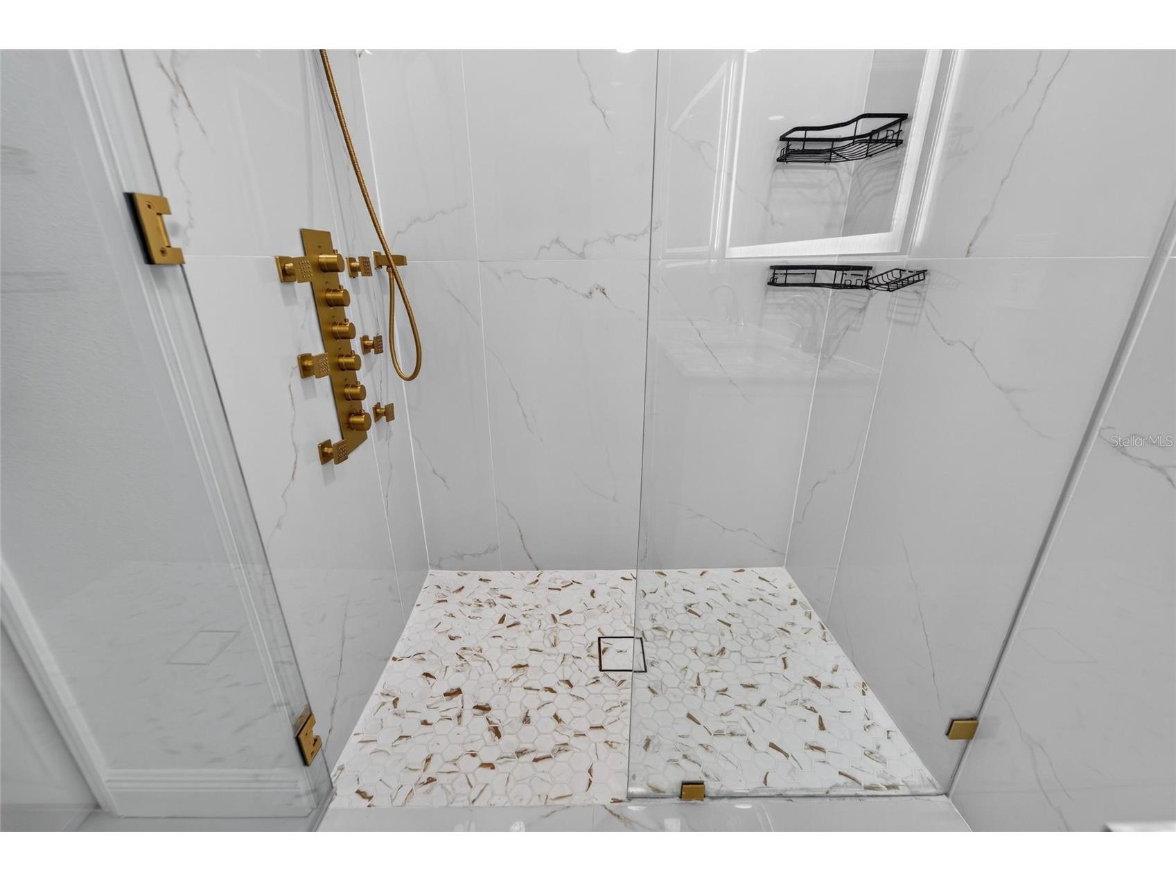 9637 Troncais Circle Thonotosassa FL 33592 TB8531780 image24