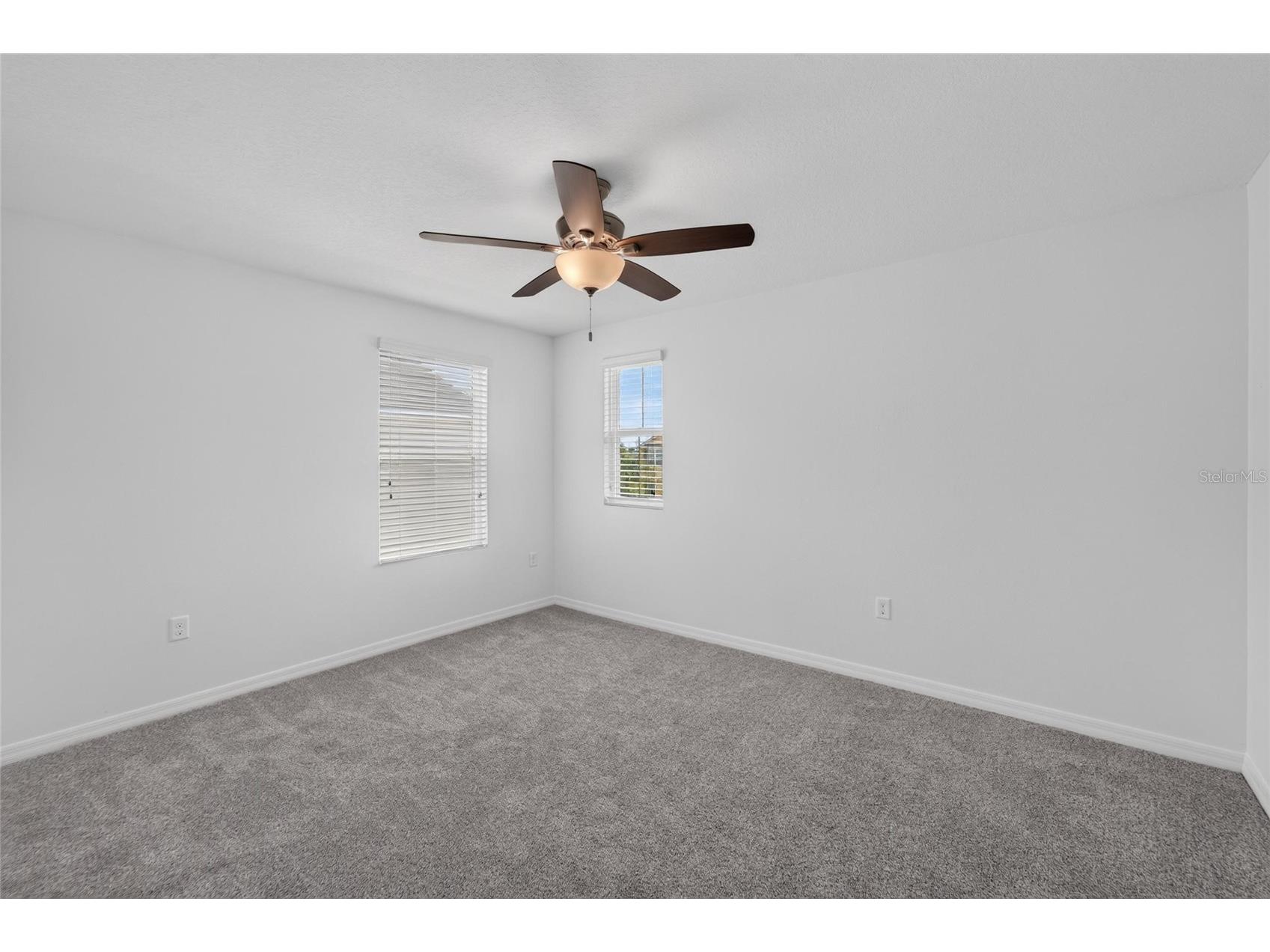 9637 Troncais Circle Thonotosassa FL 33592 TB8531780 image41