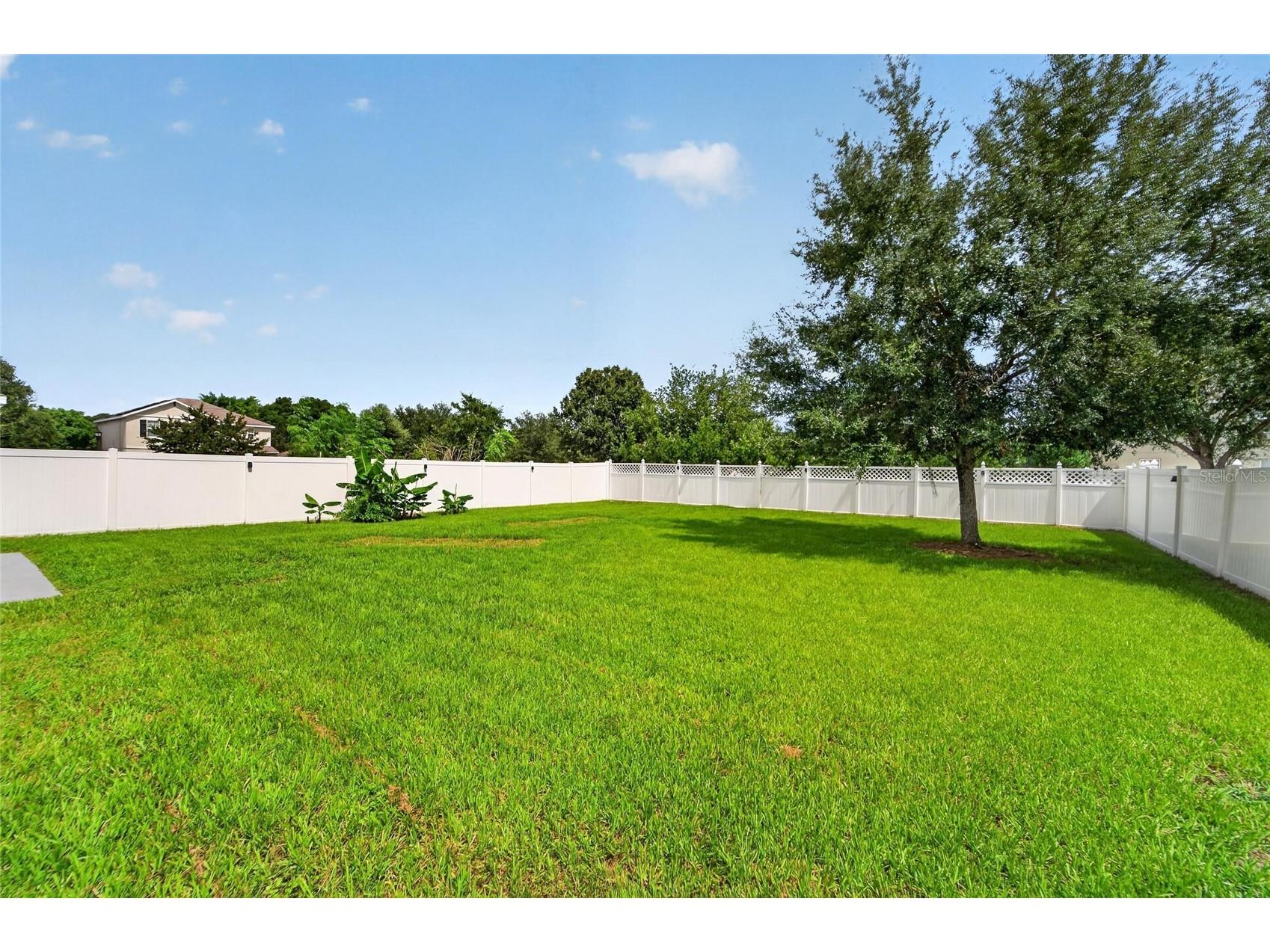 9637 Troncais Circle Thonotosassa FL 33592 TB8531780 image52