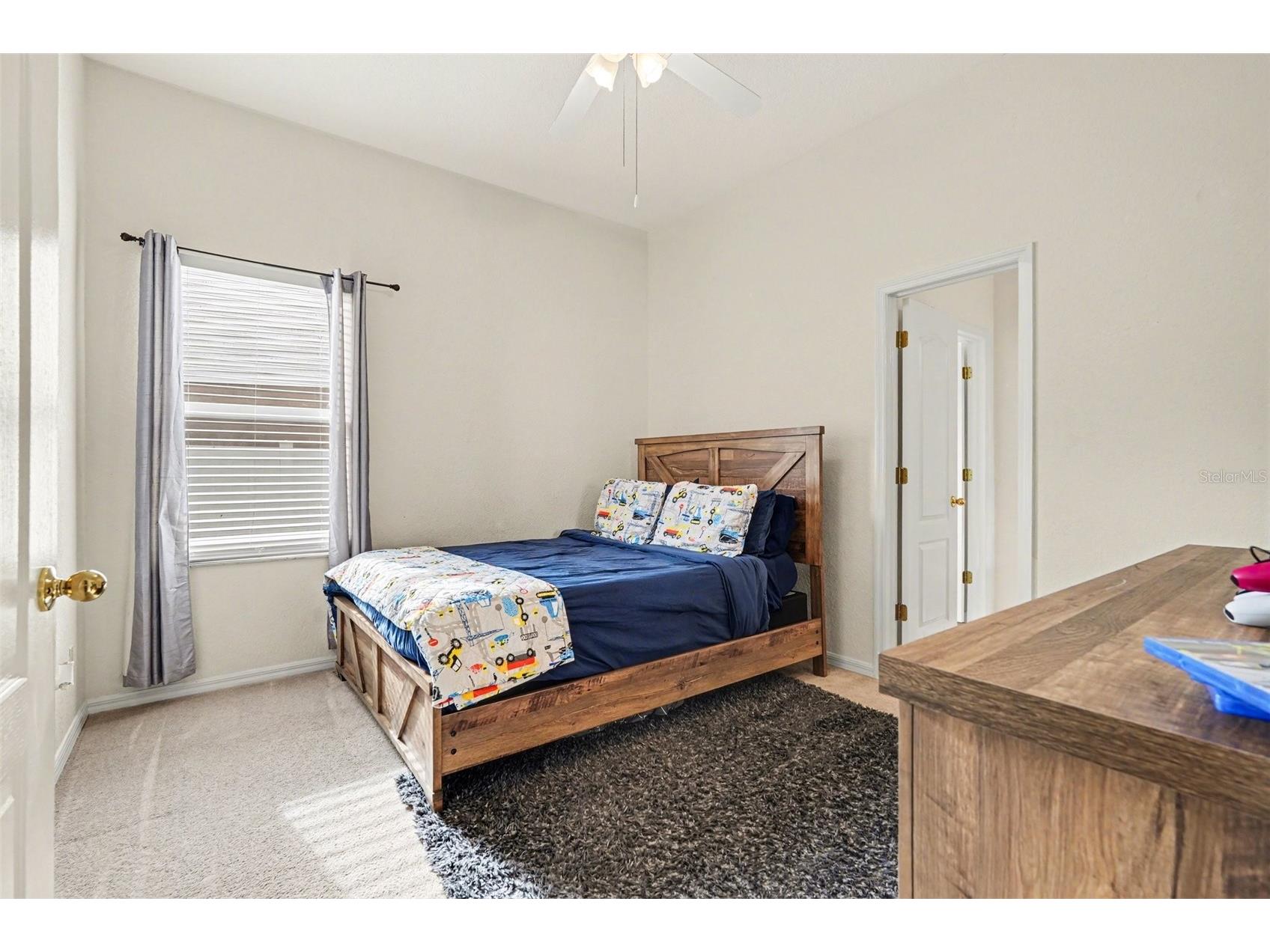 9637 Wydella Street Street Riverview FL 33569 TB8493206 image17