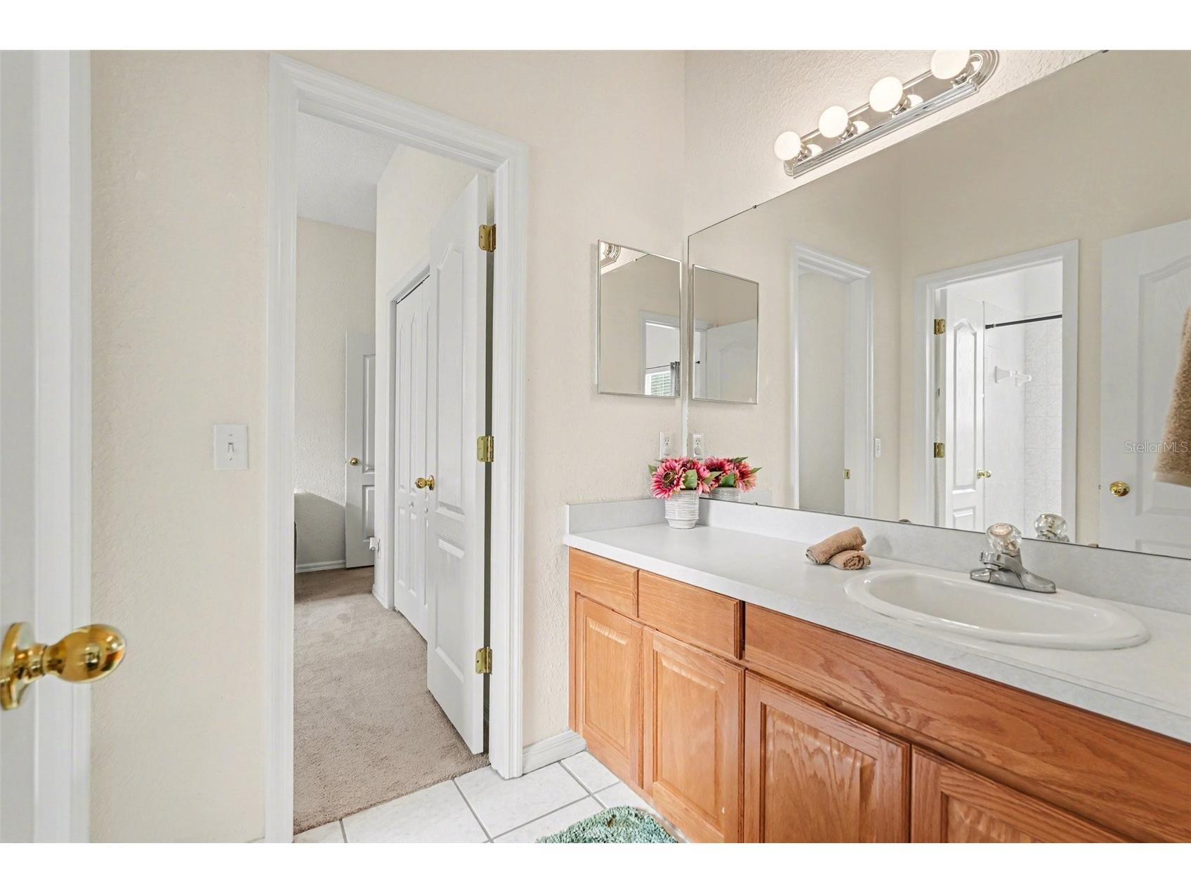 9637 Wydella Street Street Riverview FL 33569 TB8493206 image18