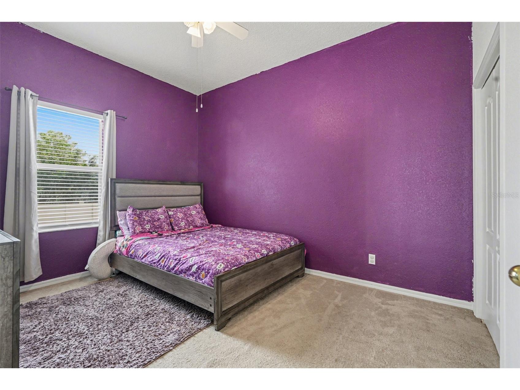 9637 Wydella Street Street Riverview FL 33569 TB8493206 image19