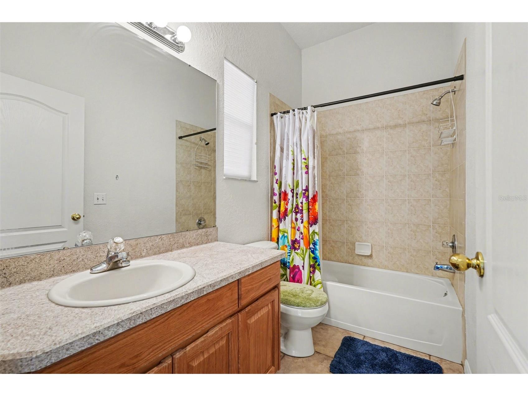 9637 Wydella Street Street Riverview FL 33569 TB8493206 image21