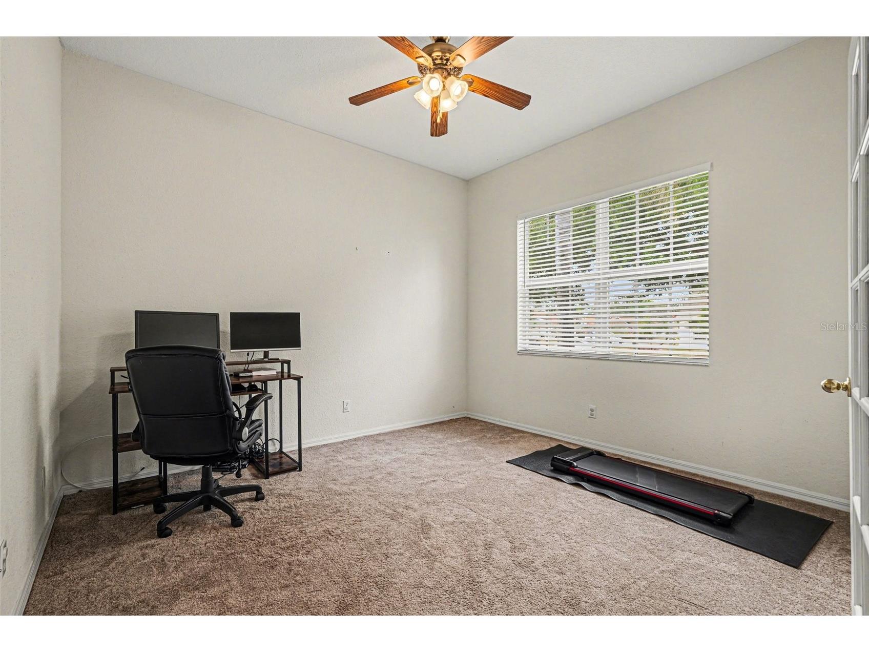 9637 Wydella Street Street Riverview FL 33569 TB8493206 image22