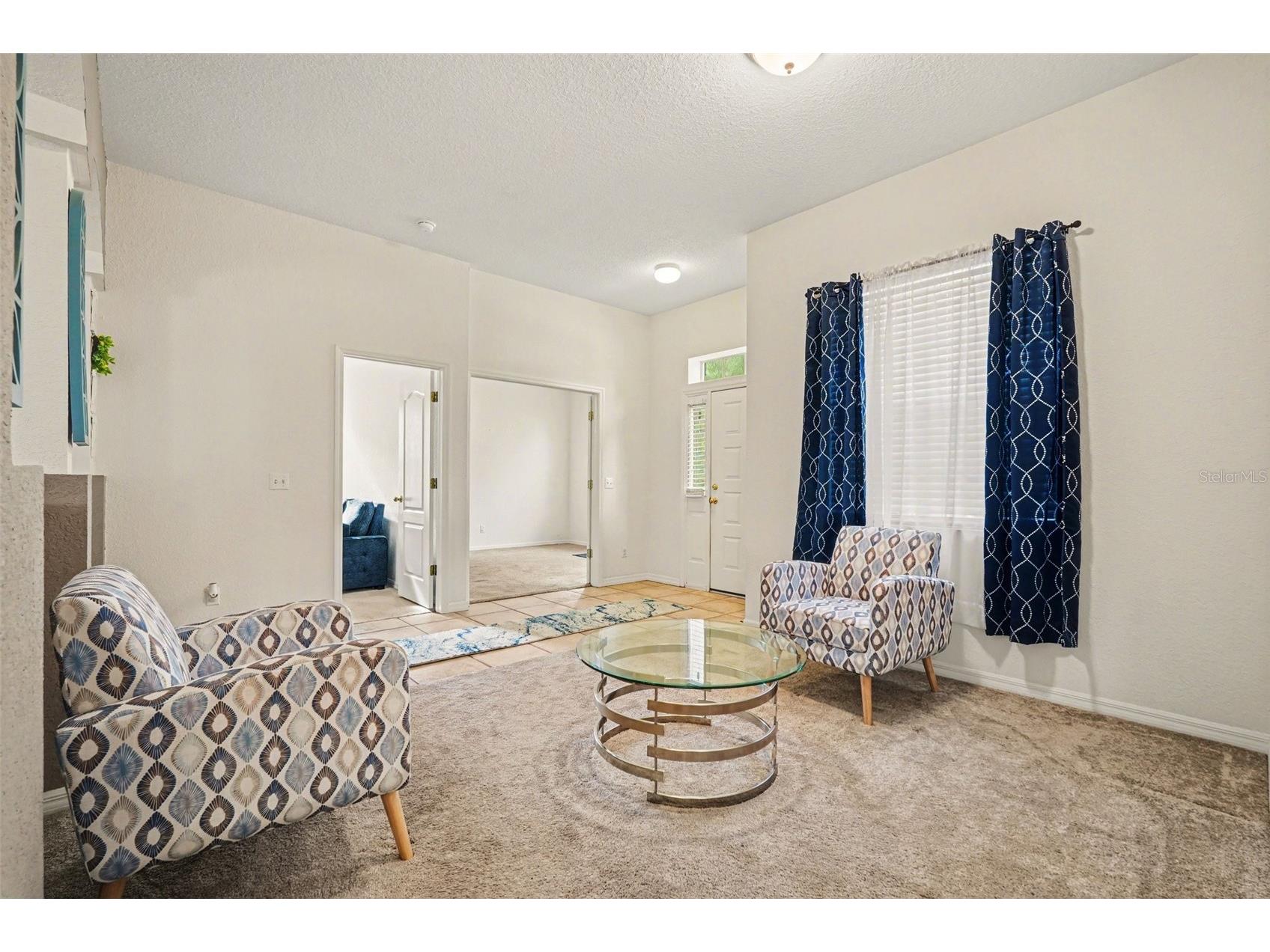 9637 Wydella Street Street Riverview FL 33569 TB8493206 image5