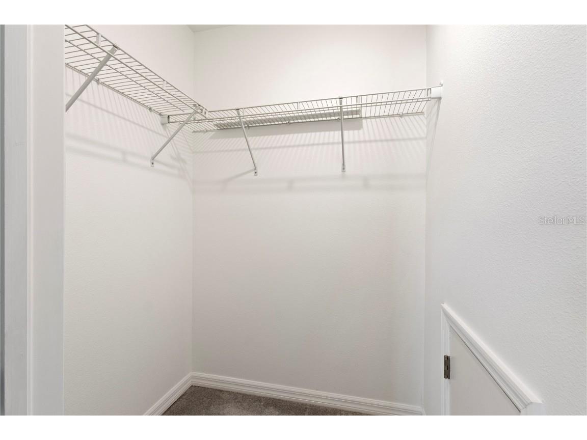 9639 Branching Ship Trace Wesley Chapel FL 33545 W7880687 image35