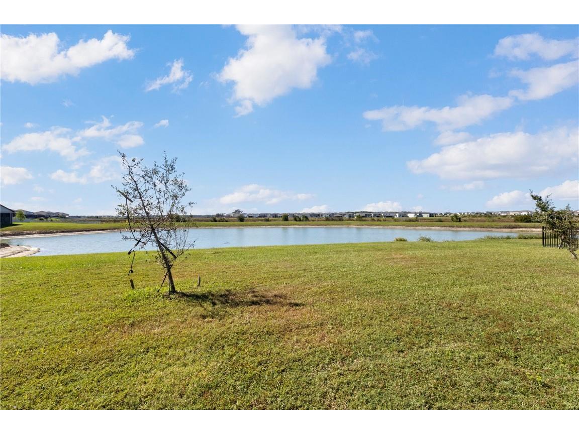 9639 Branching Ship Trace Wesley Chapel FL 33545 W7880687 image46