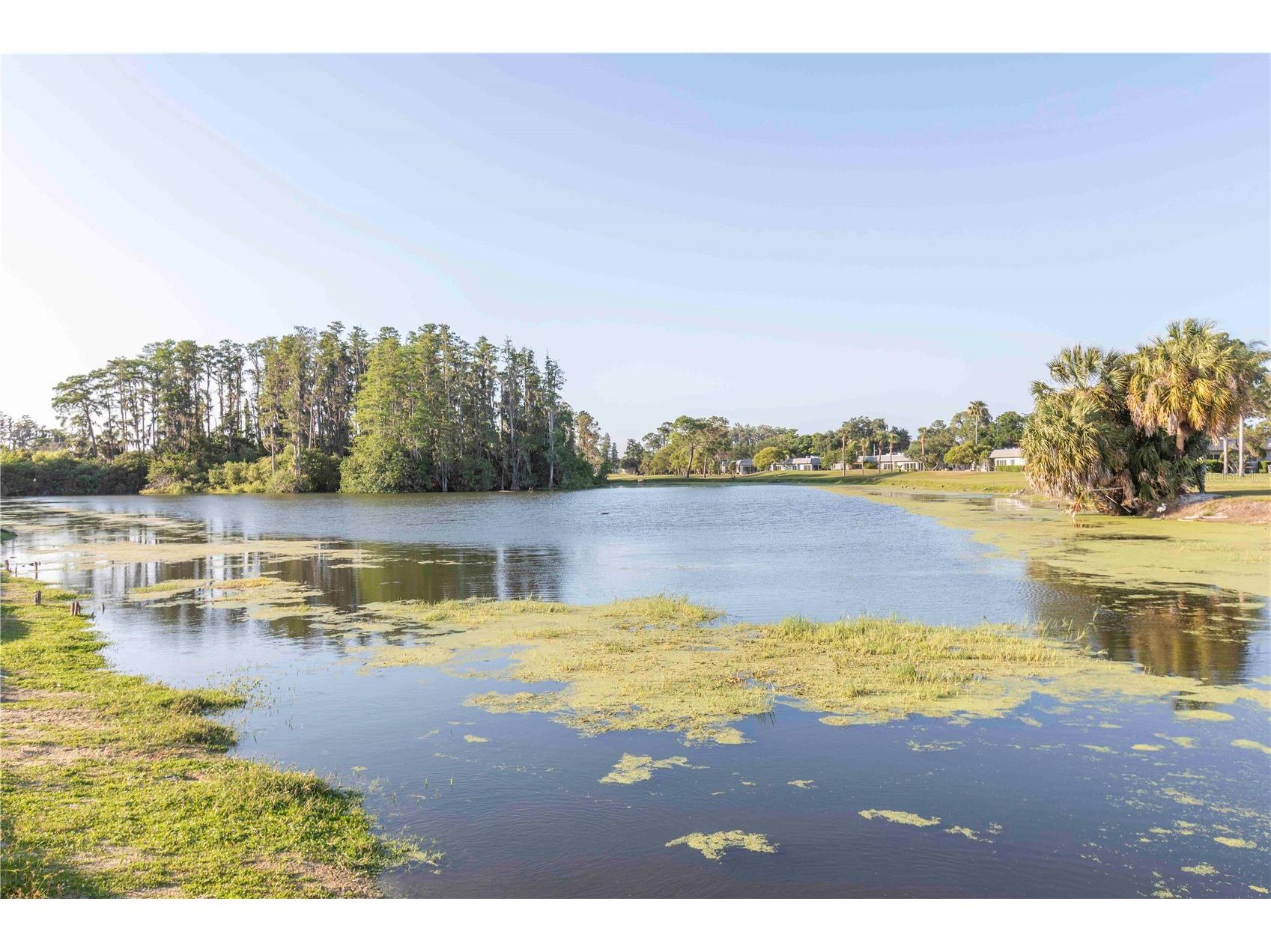 9639 Greenskeeper Drive #9639 New Port Richey FL 34655 W7885279 image33