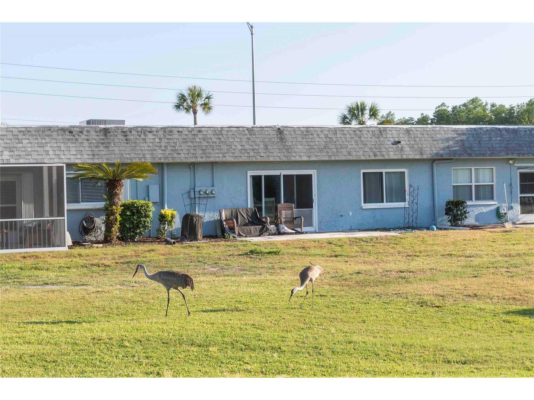 9639 Greenskeeper Drive #9639 New Port Richey FL 34655 W7885279 image35