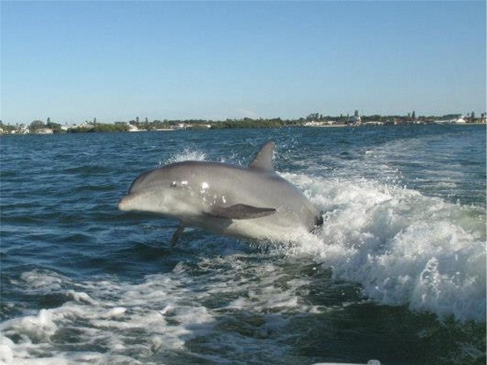 964 Boundary Boulevard Rotonda West FL 33947 - ROTONDA RIVER D6142260 image42