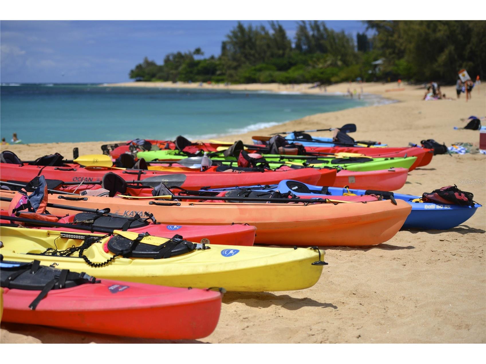 964 Boundary Boulevard Rotonda West FL 33947 - ROTONDA RIVER D6142260 image50