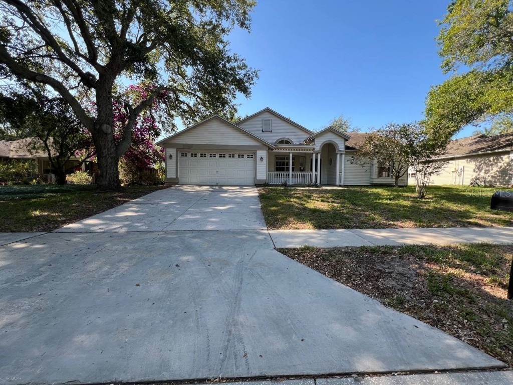 964 Valley View Circle Palm Harbor FL 34684 T3503590 image1