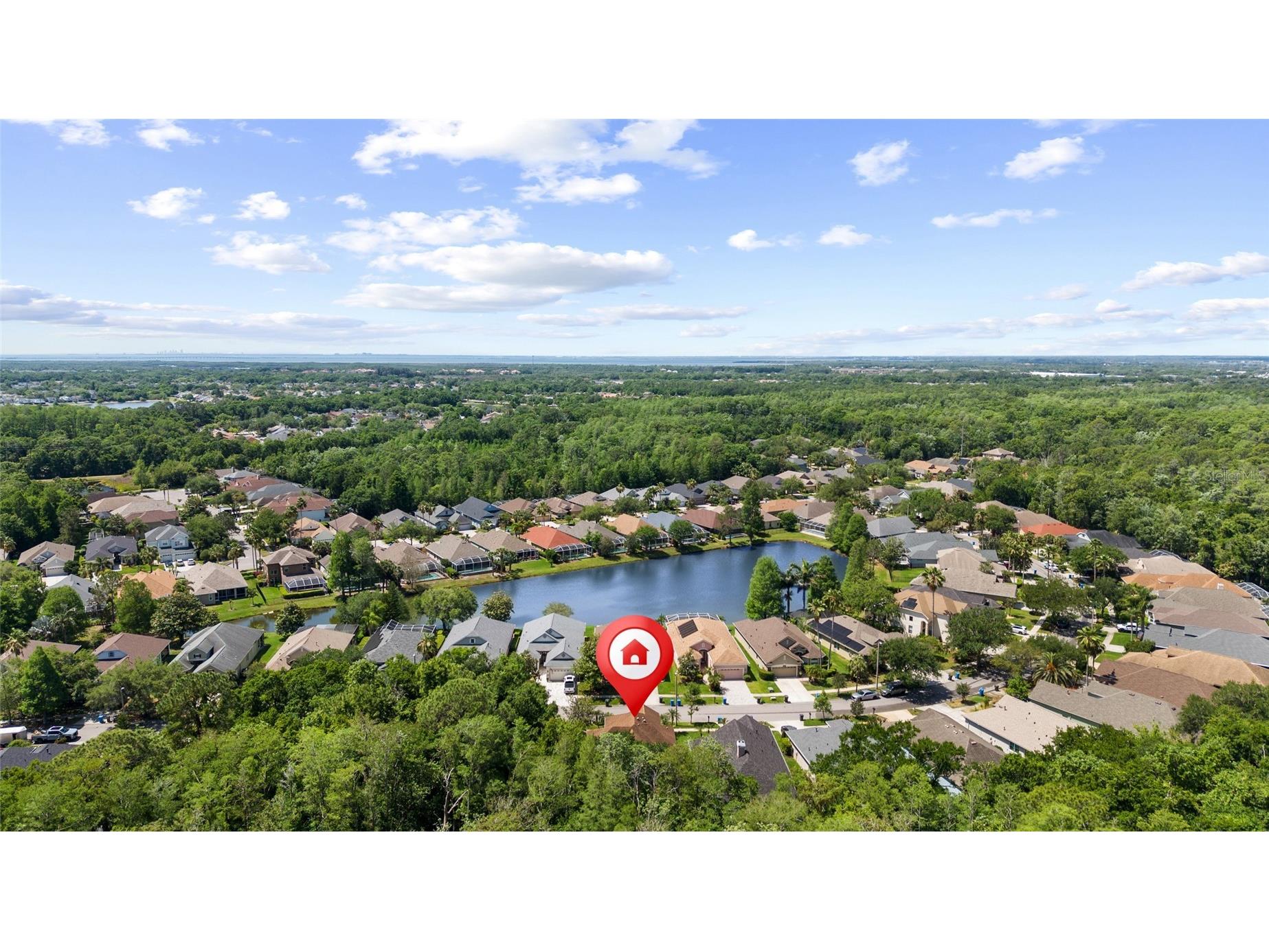 9642 Gretna Green Drive Tampa FL 33626 TB8500602 image52