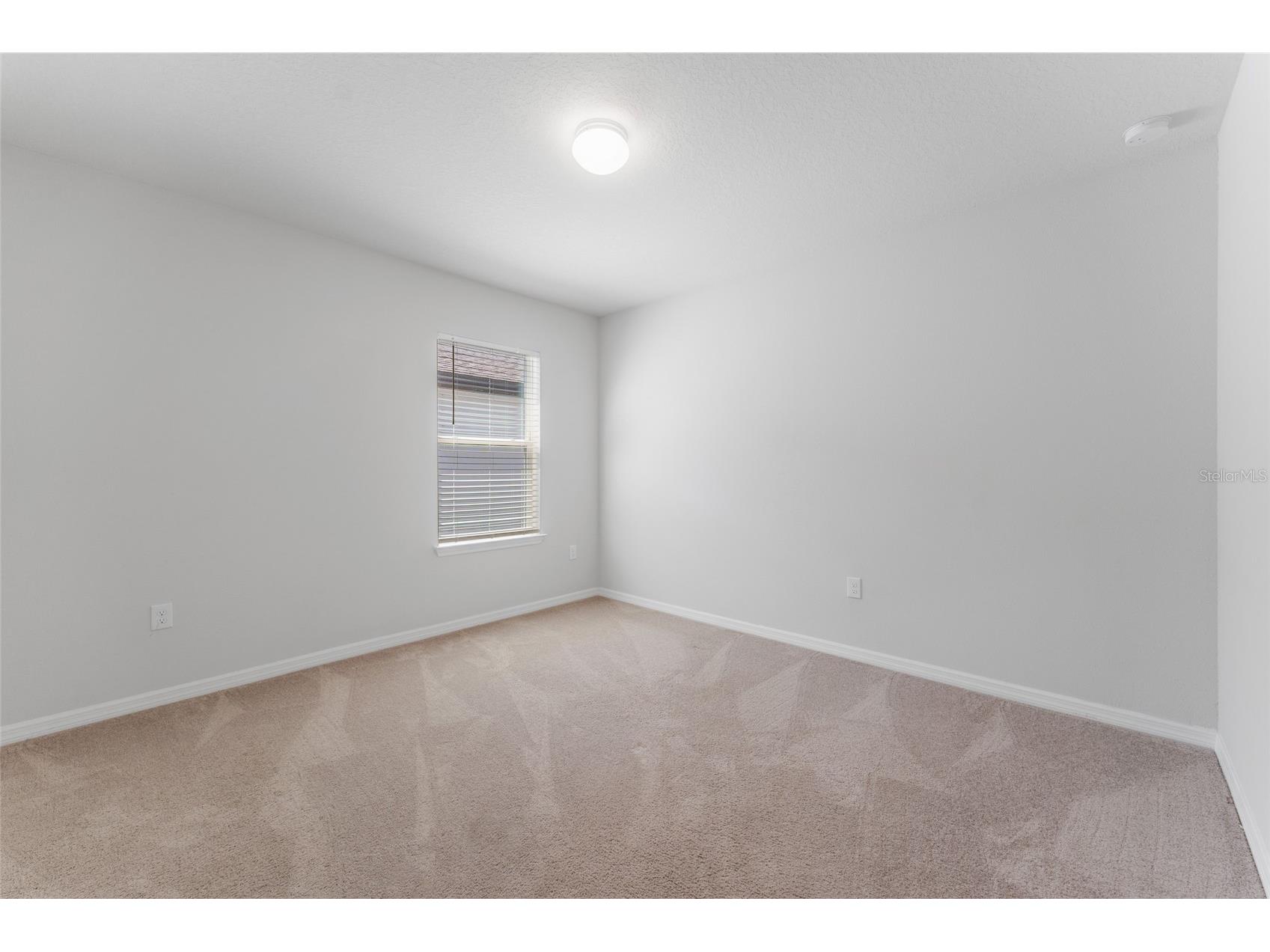 9642 Summers Cay Circle Thonotosassa FL 33592 TB8525238 image27