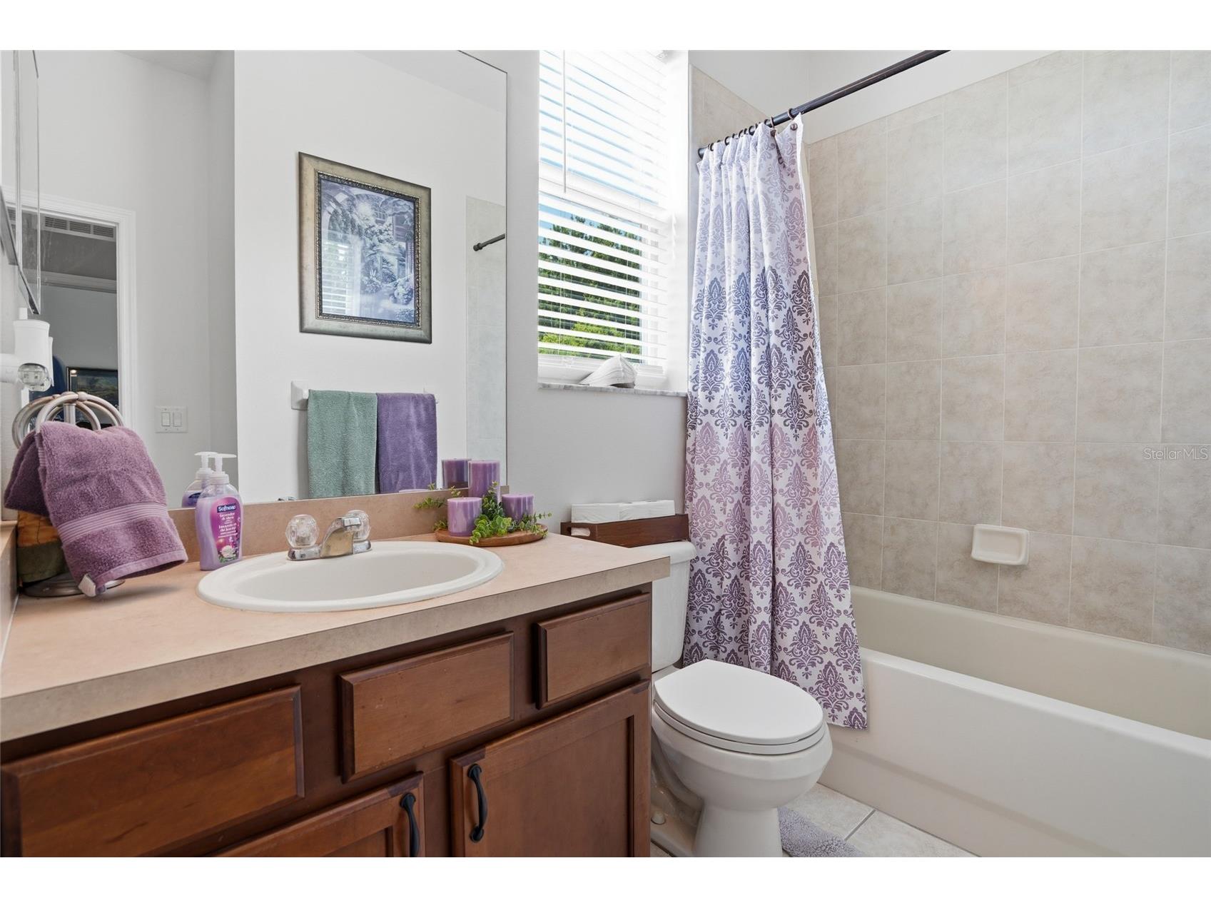 9643 Asbel Estates Street Land O Lakes FL 34638 TB8505770 image16