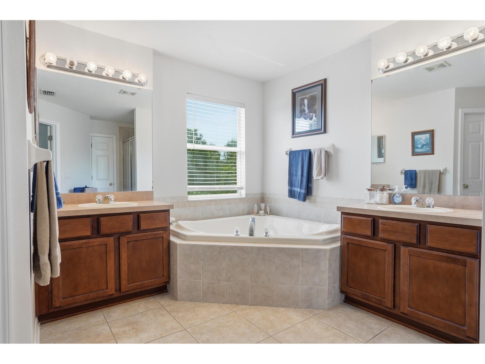 9643 Asbel Estates Street Land O Lakes FL 34638 TB8505770 image26