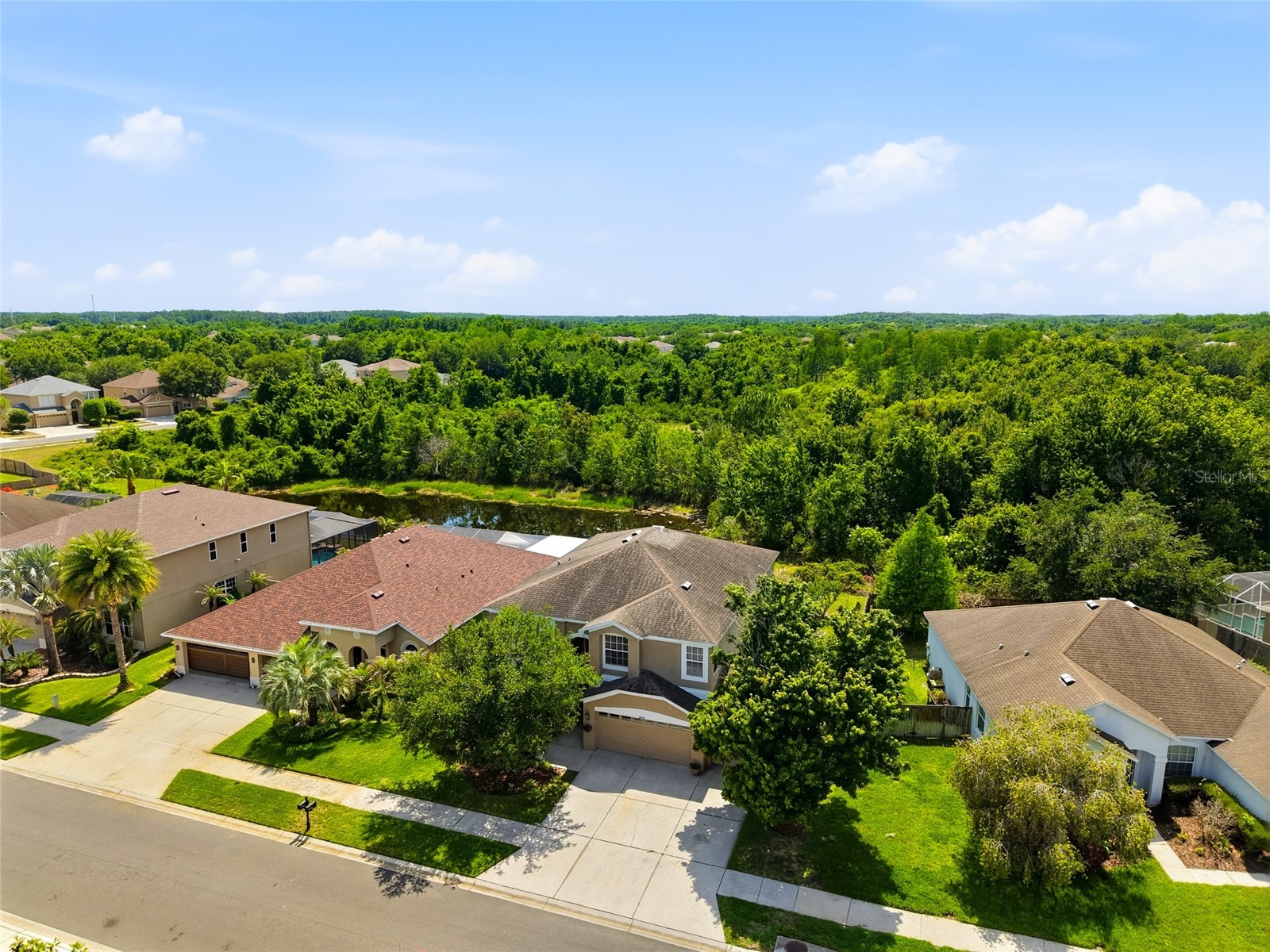 9643 Asbel Estates Street Land O Lakes FL 34638 TB8505770 image3