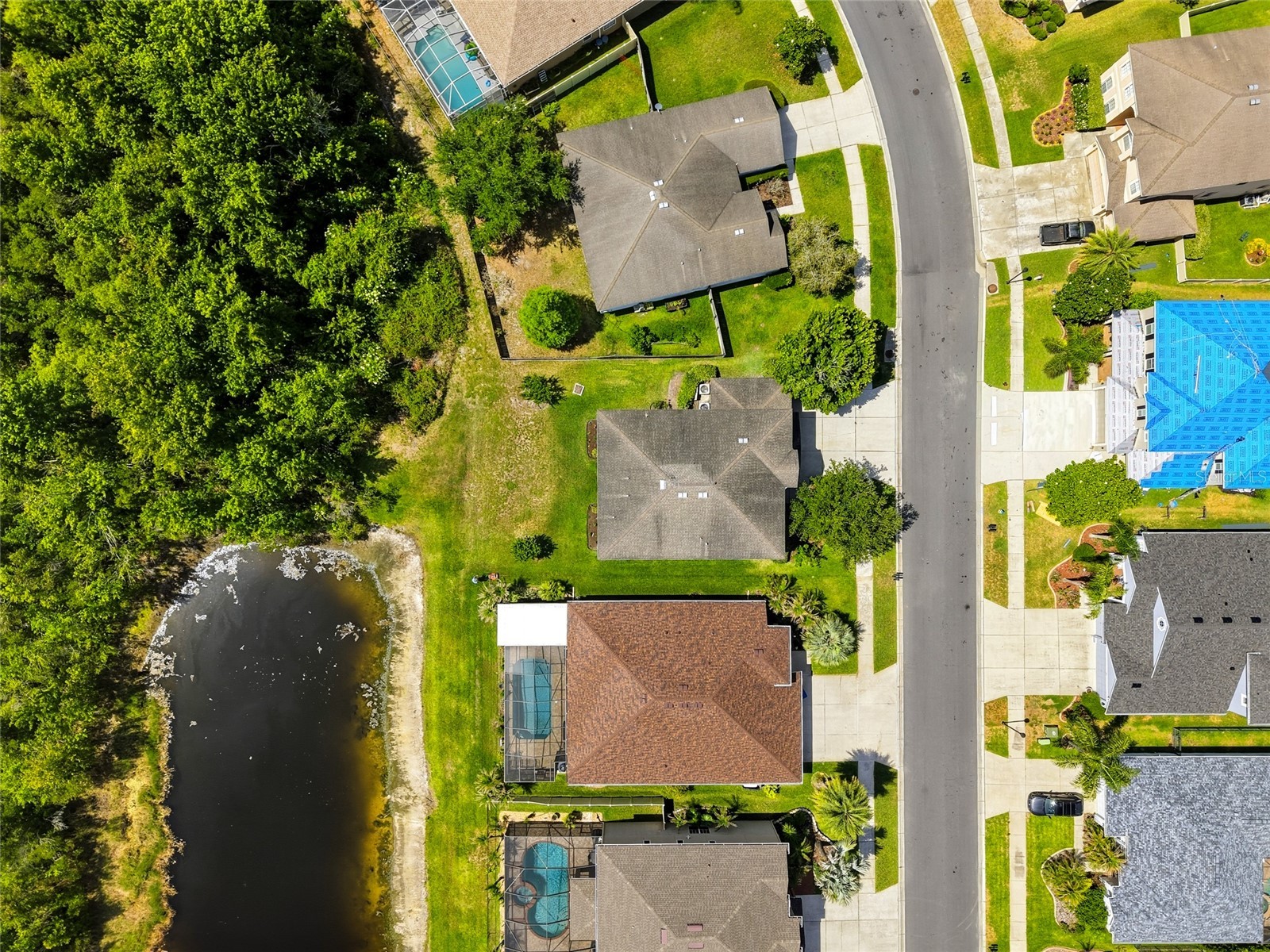 9643 Asbel Estates Street Land O Lakes FL 34638 TB8505770 image35