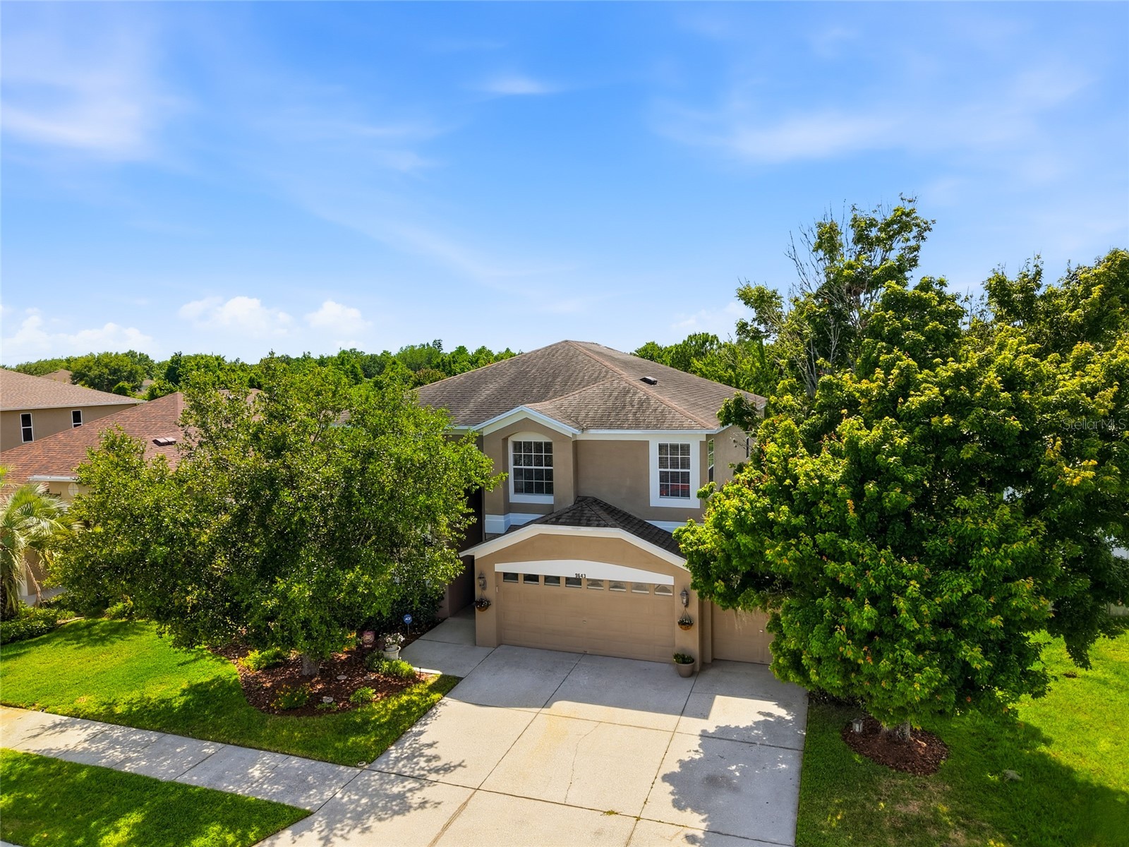 9643 Asbel Estates Street Land O Lakes FL 34638 TB8505770 image37