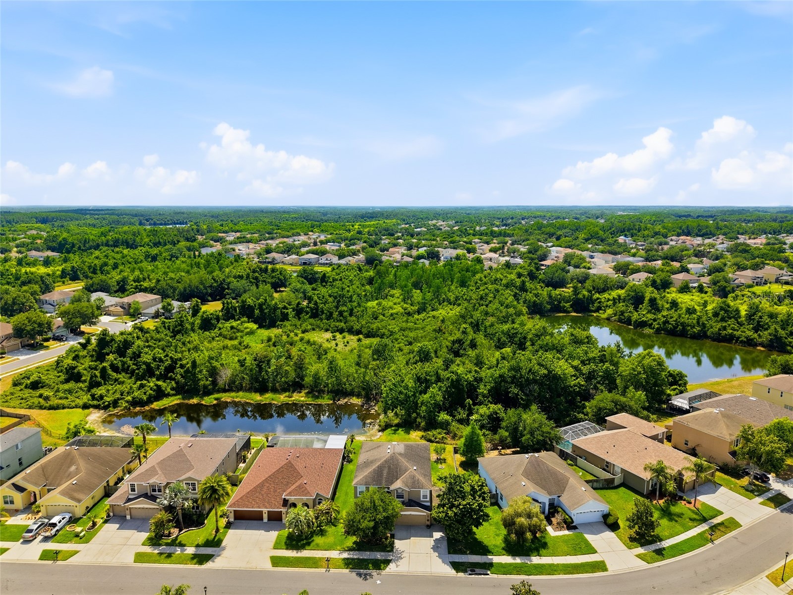 9643 Asbel Estates Street Land O Lakes FL 34638 TB8505770 image38