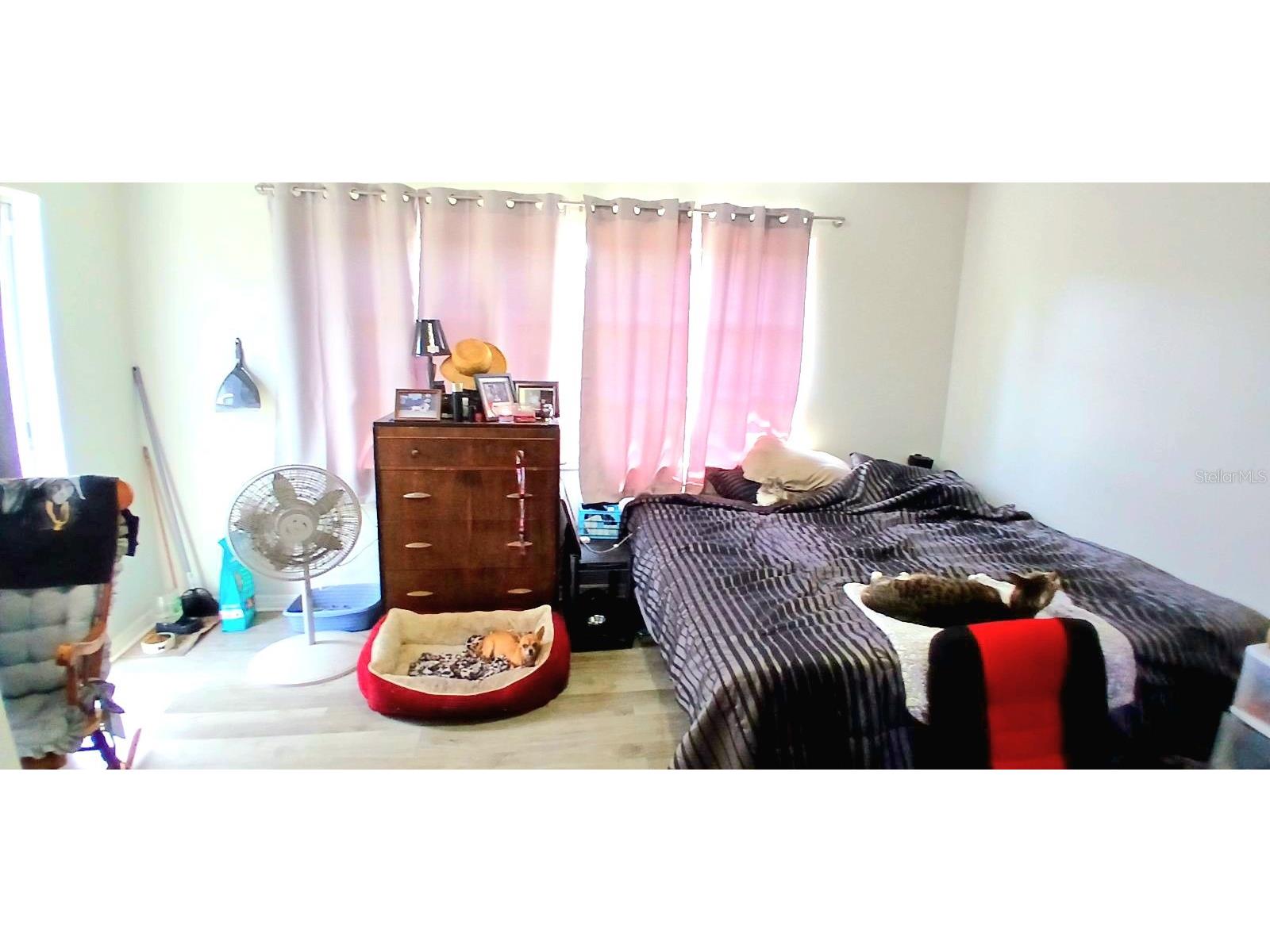 9643 Marlinton Lane Port Richey FL 34668 TB8412382 image23