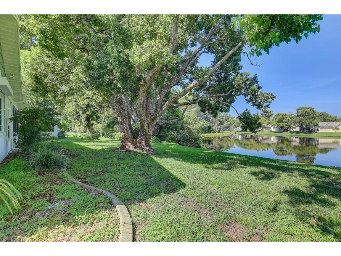 9643 Noble Court New Port Richey FL 34655 TB8407746 image38