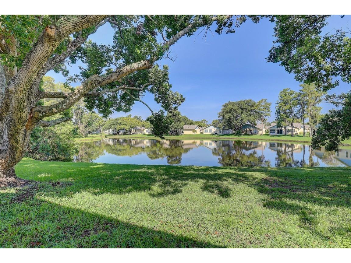 9643 Noble Court New Port Richey FL 34655 TB8407746 image39