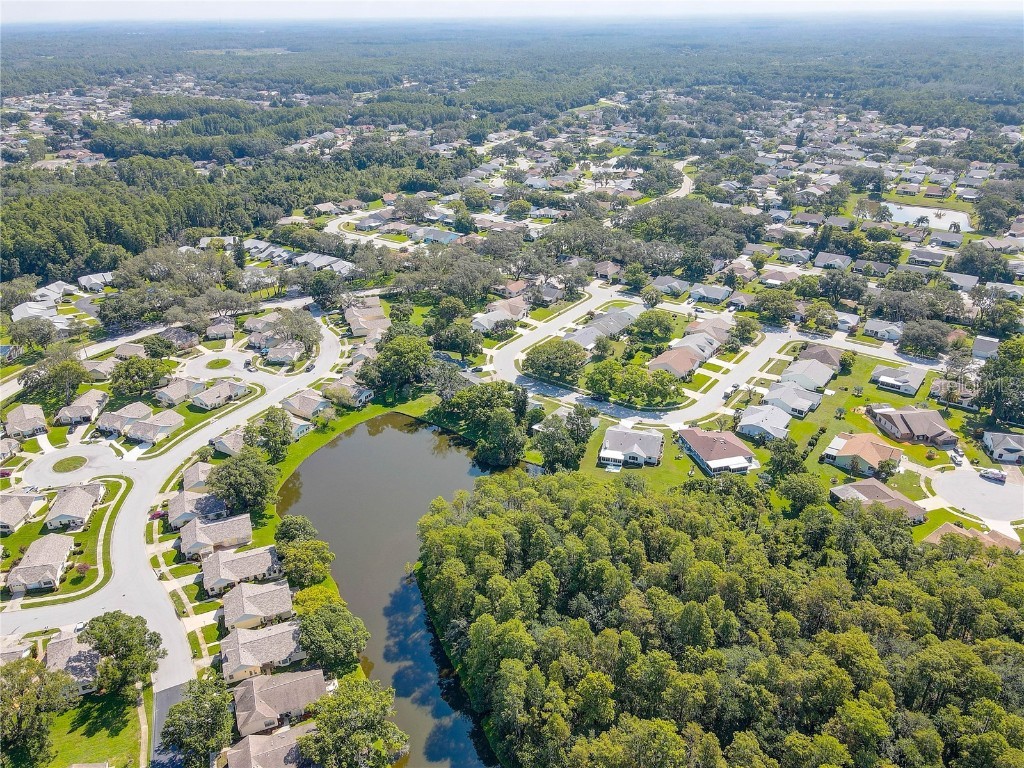 9643 Noble Court New Port Richey FL 34655 TB8407746 image50