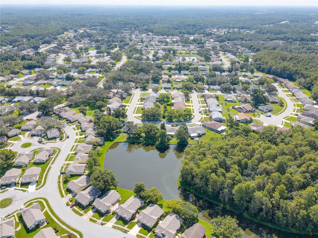 9643 Noble Court New Port Richey FL 34655 TB8407746 image51