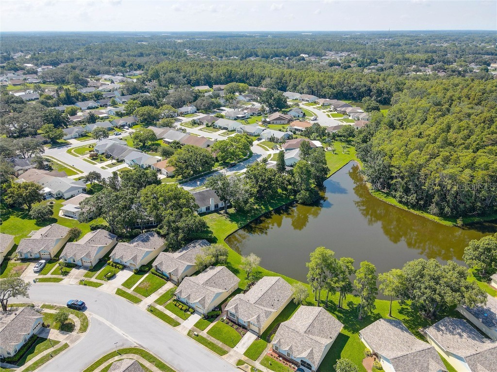 9643 Noble Court New Port Richey FL 34655 TB8407746 image53