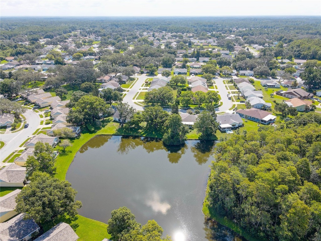 9643 Noble Court New Port Richey FL 34655 TB8407746 image54