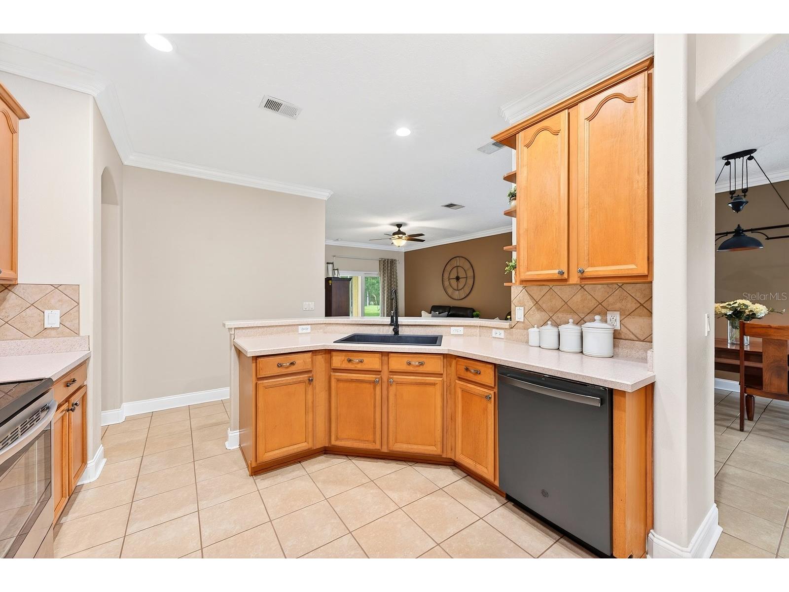 9644 Heron Pointe Drive Orlando FL 32832 O6396517 image16