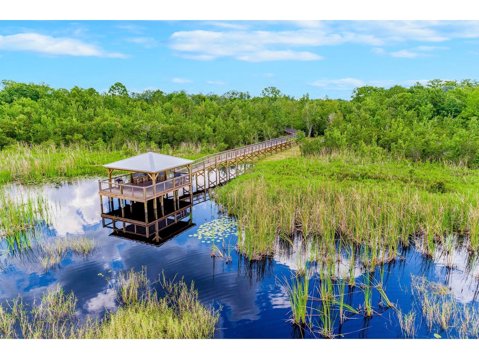 9644 Heron Pointe Drive Orlando FL 32832 O6396517 image36