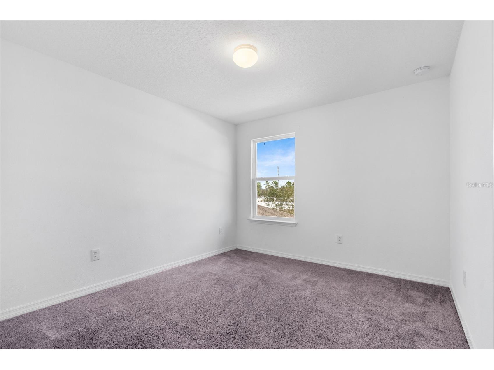 9644 Summers Cay Circle Thonotosassa FL 33592 S5143808 image22