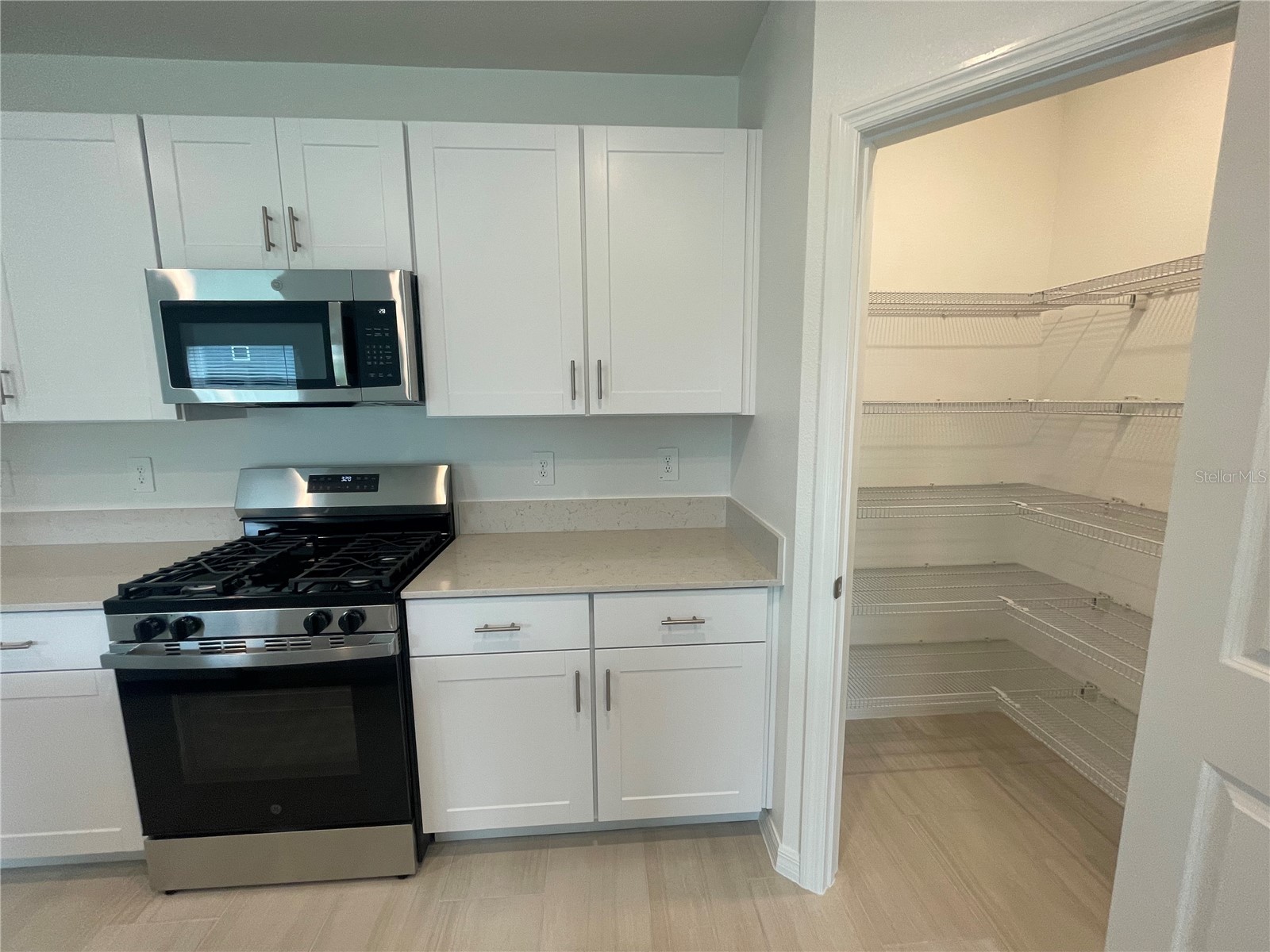 9645 Carabiner Way Land O Lakes FL 34637 W7884485 image19