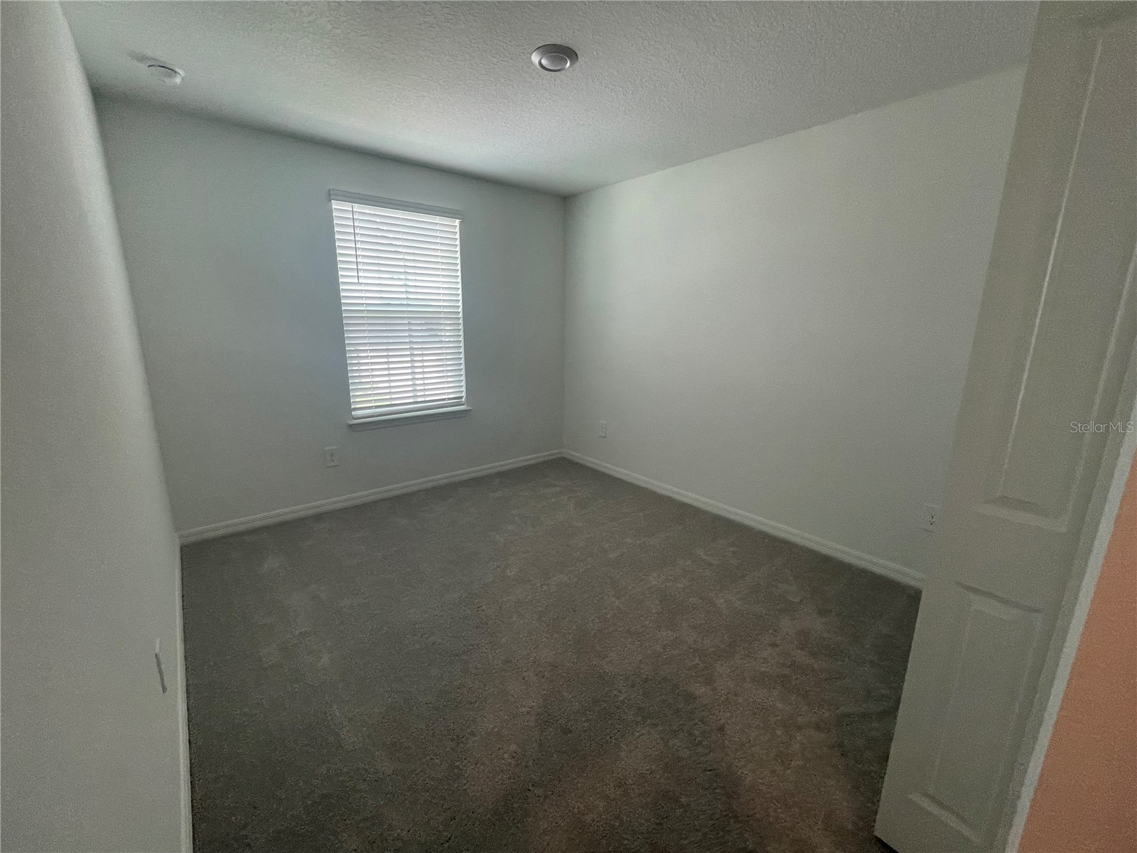 9645 Carabiner Way Land O Lakes FL 34637 W7884485 image31