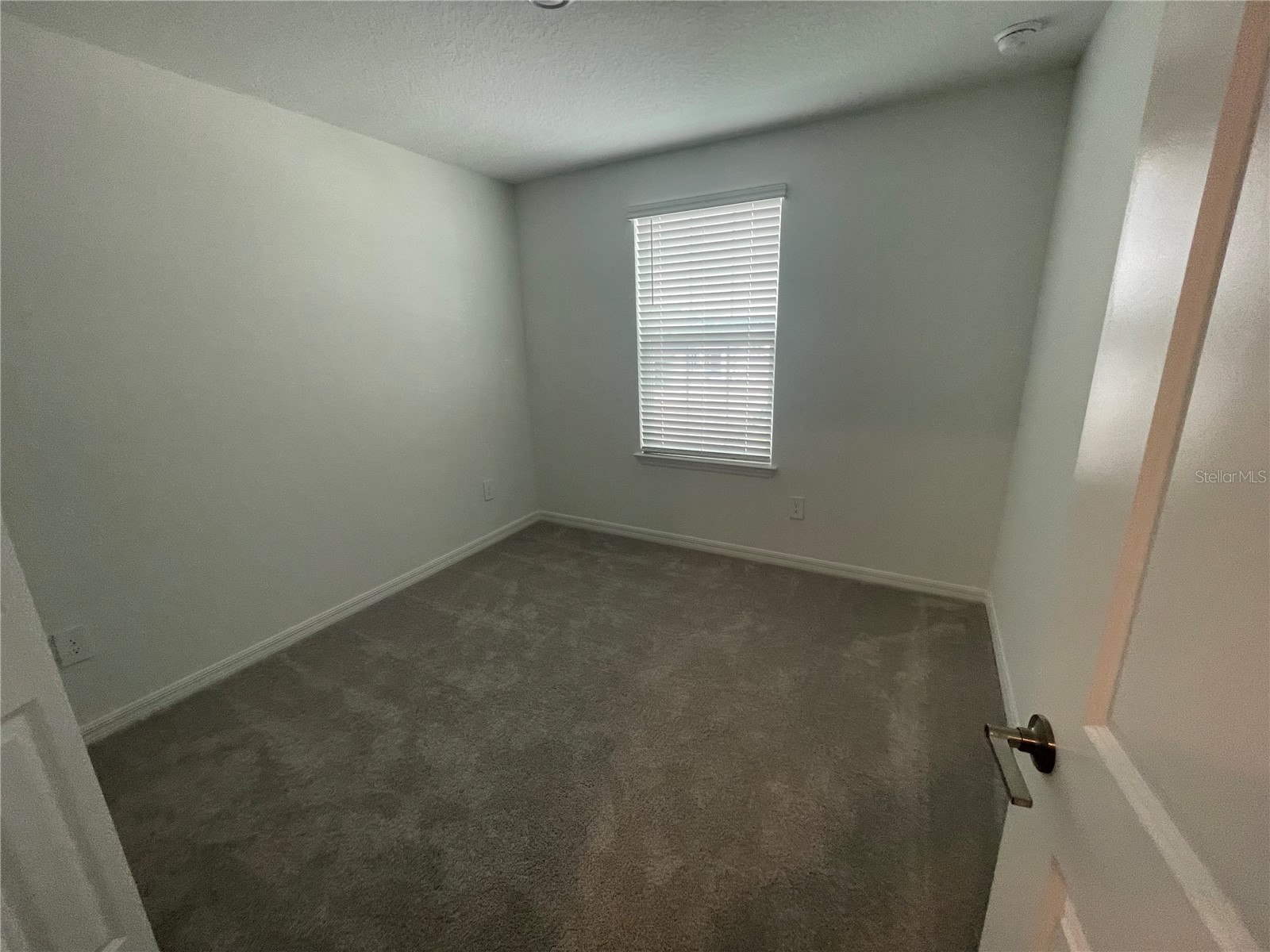 9645 Carabiner Way Land O Lakes FL 34637 W7884485 image33