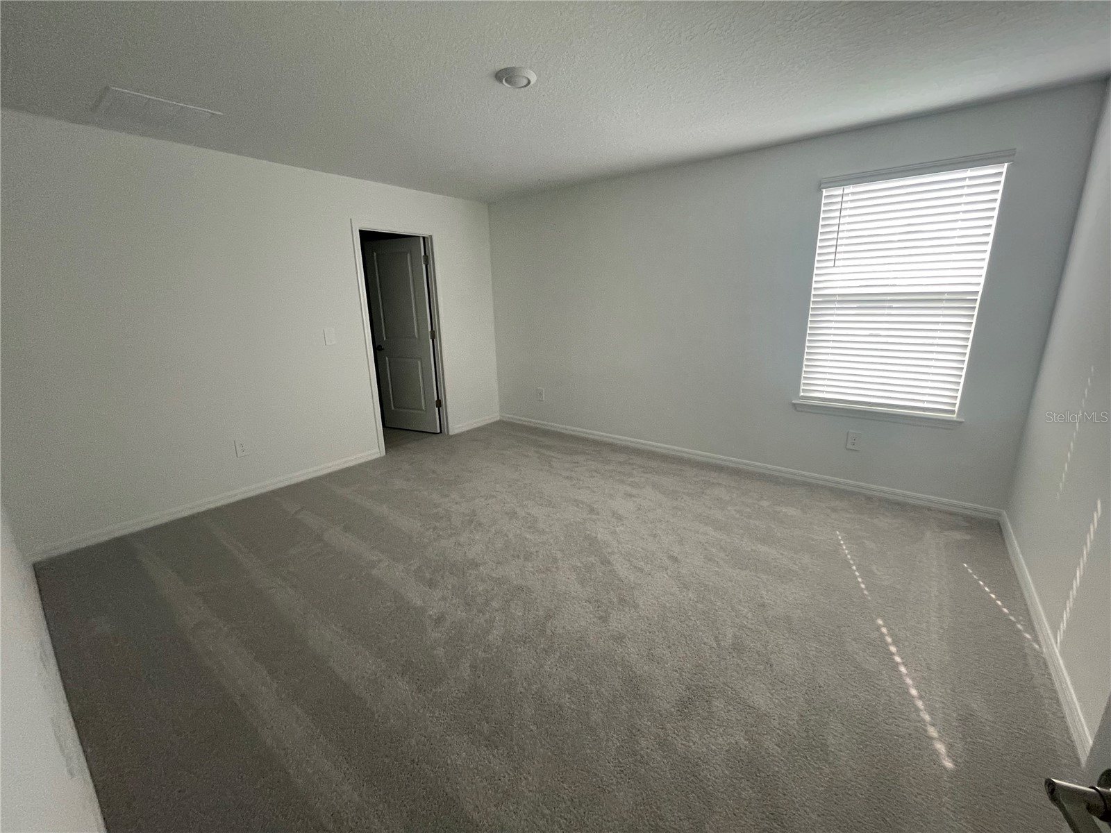 9645 Carabiner Way Land O Lakes FL 34637 W7884485 image35