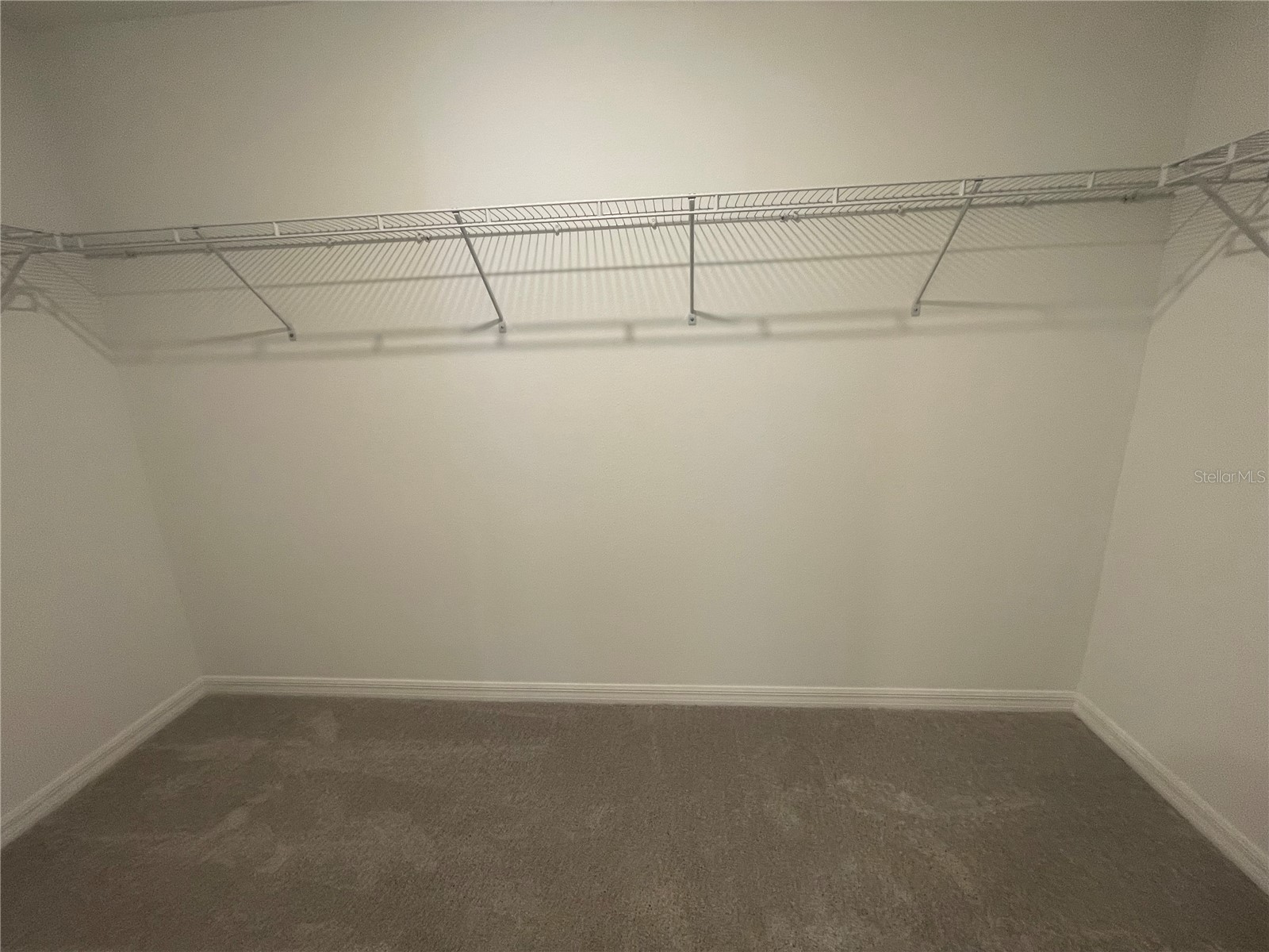 9645 Carabiner Way Land O Lakes FL 34637 W7884485 image41