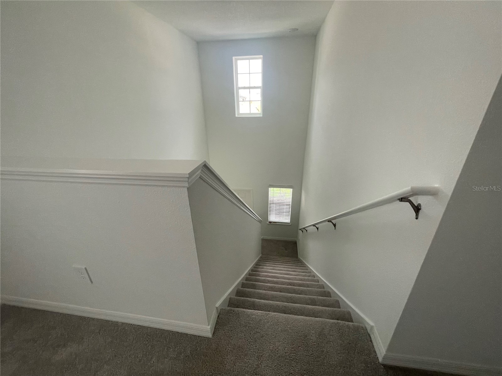 9645 Carabiner Way Land O Lakes FL 34637 W7884485 image43