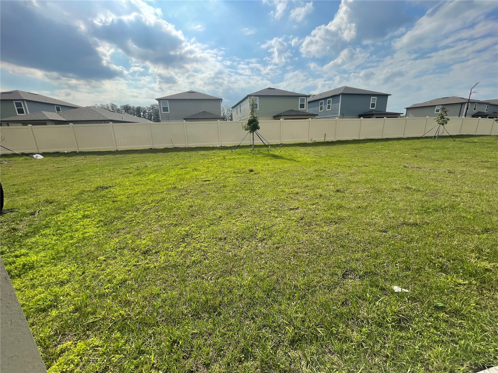 9645 Carabiner Way Land O Lakes FL 34637 W7884485 image48